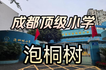 成都市泡桐树小学(境界校区)