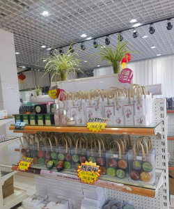 三台县乐安镇艺林培训学校有限公司