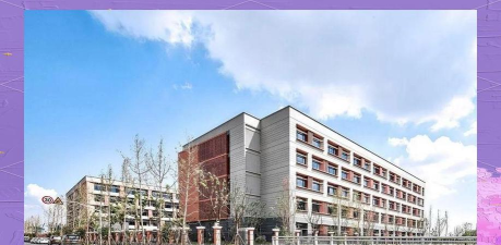 宁波市江北区外国语学校高中部