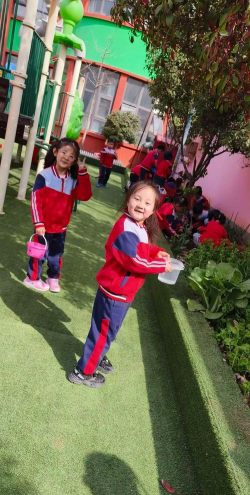 新泰市放城镇南涝坡幼儿园