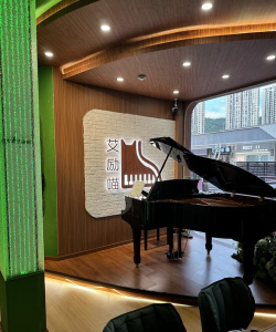 东阳市音源音乐培训有限公司