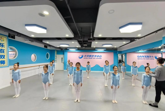 咸阳小天鸽艺术培训有限公司