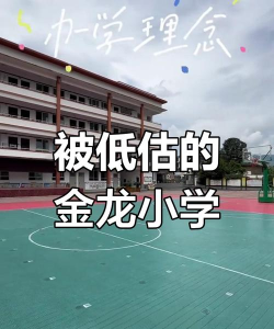 武都镇金龙村小学校