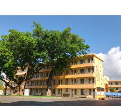 瑞丽市勐卯镇勐卯小学