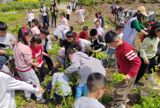 长兴镇幸福小学