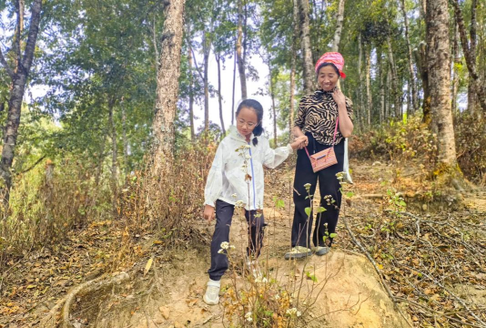 陇川县清平乡中心小学