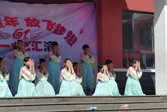 天全县大河乡中心小学
