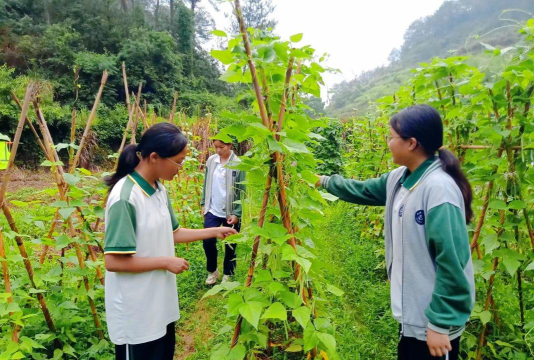 武平县桃溪中学