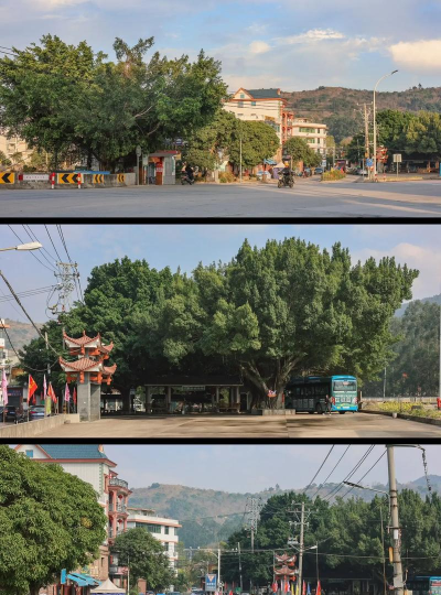 长乐市营前镇下洋村幼儿班