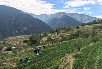 九龙县小金乡中心校