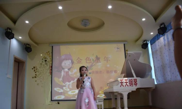 夏县小童星艺术教育培训学校有限公司