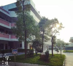 潮阳区西胪镇四乡初级中学