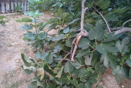 威海市环翠区泊于镇屯候家幼儿园