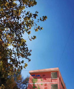 镇巴县兴隆初级中学