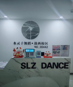 吉首市舞之灵培训学校有限公司