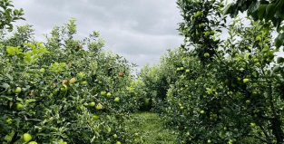 沧州渤海新区南大港英和教育培训学校有限公司