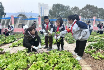 长道镇丰收小学