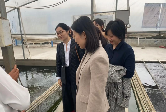 佛山市顺德区乐从镇楚雁科技培训有限公司