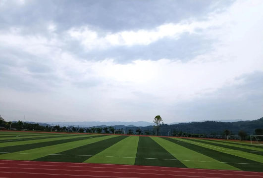 长寿县飞龙乡初级中学