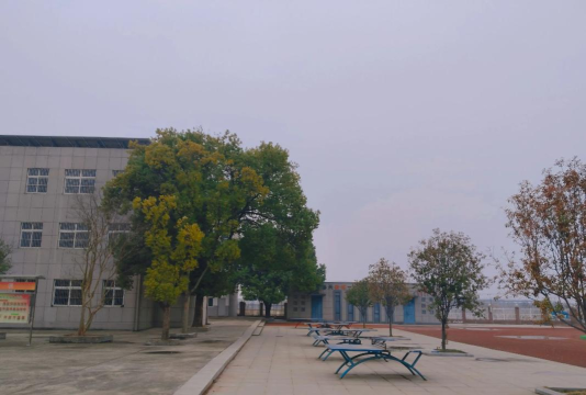 攸县坪阳庙乡中学