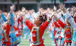 佛山市西南街道布心小学