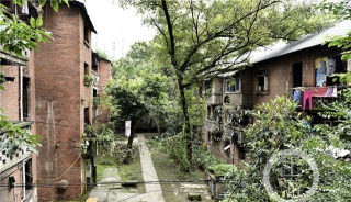 重庆长江电工厂子弟校