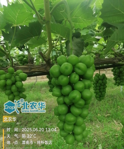 临渭区交斜镇春风幼儿园