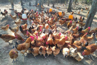 莲花县坪里镇坪里村幼儿园