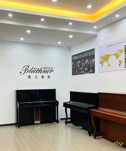 宁波杭州湾新区海恩艺术特长培训有限公司