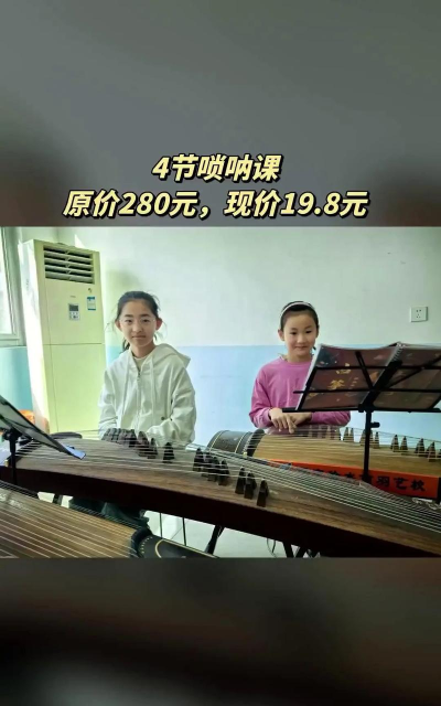 长沙市天心区商羽艺术培训中心有限公司