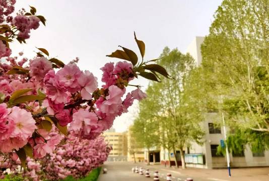 泗水县龙城初级中