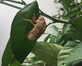 乐昌市长来镇灵口村幼儿园