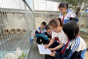 石泉县迎丰镇初级中学