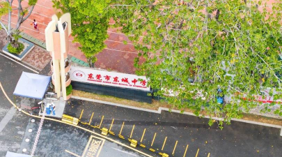 东莞市东城初级中学