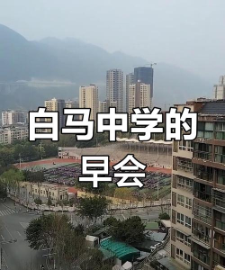 白马中学