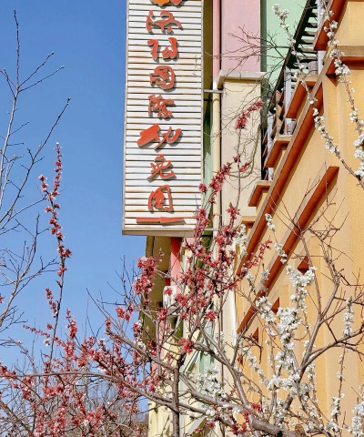 洛阳宇龙花园幼儿园