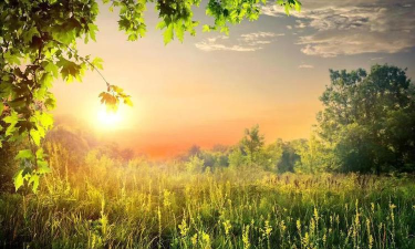 道里区新发中心建国小学校