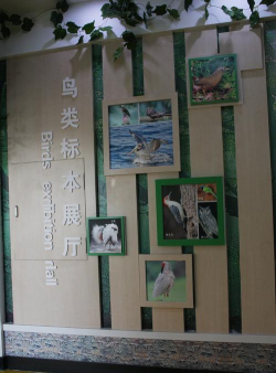 陵西小学
