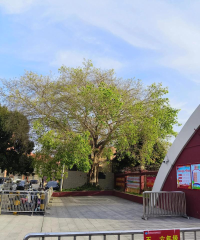 广州市番禺区新君豪中英文学校