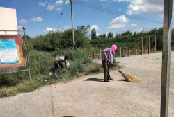 临河区八一乡中心小学长丰