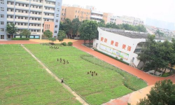 佛山市顺德区陈村青云中学