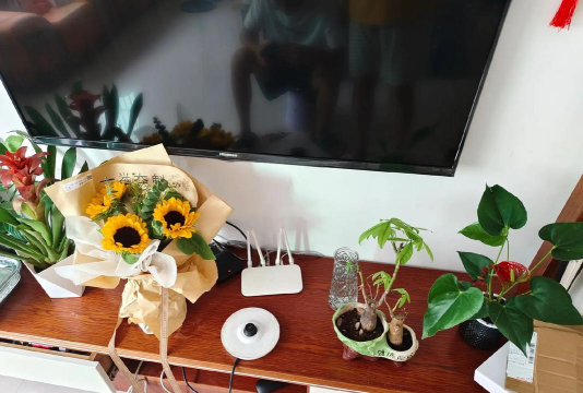 长沙市望城县丁字镇丁字中学