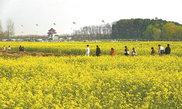 肥东县长临河镇小红花幼儿园