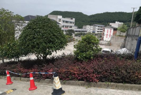 胜芳镇民强小学