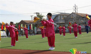 北京市海淀区翠微小学白家疃校区