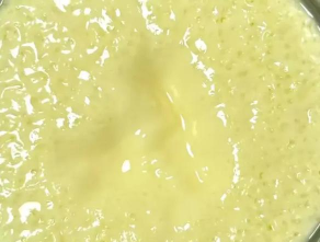 大同市蔬菜公司幼儿园