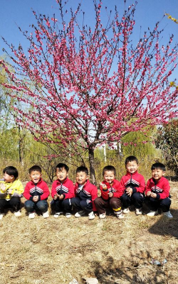 城区下南街小学贝贝幼儿园