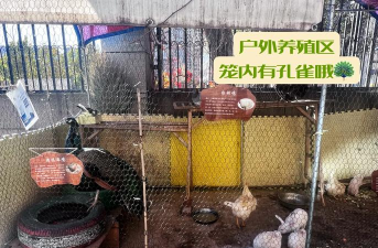 石家庄栾城启蒙之星幼儿园