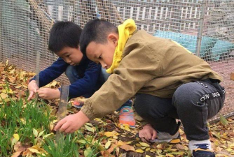 北京市昌平区十三陵镇中心幼儿园