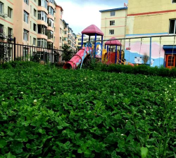 北京馨星幼儿园